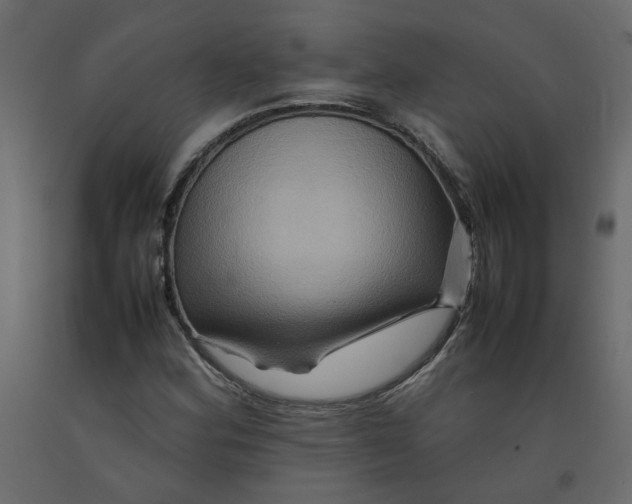 X0000092231164200710051213