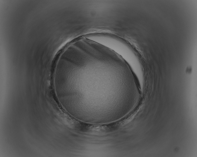 X0000092231165200710051213