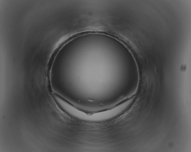 X0000092231168200710051213