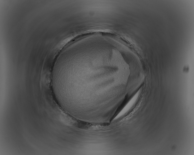 X0000092231169200710051213