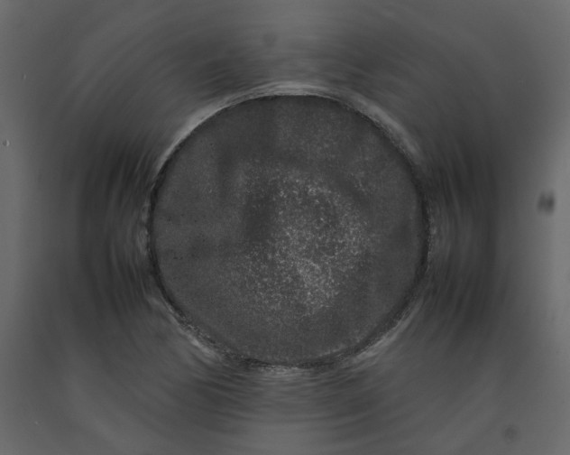 X0000092231170200710051213