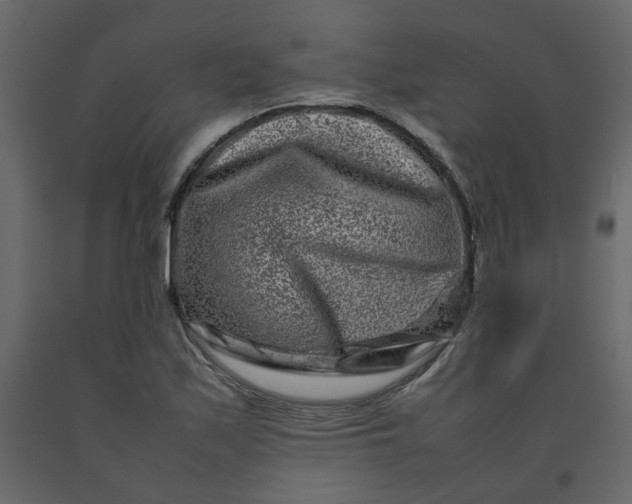 X0000092231171200710051213