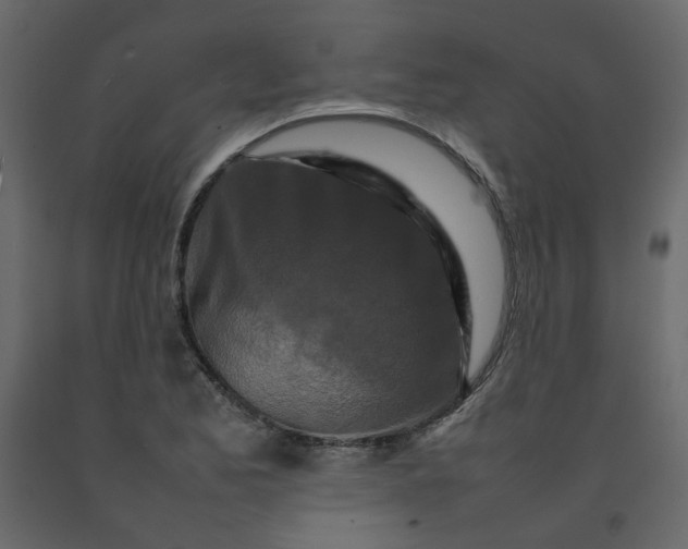 X0000092231173200710051213