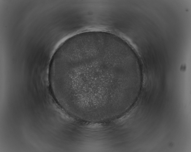 X0000092231174200710051213