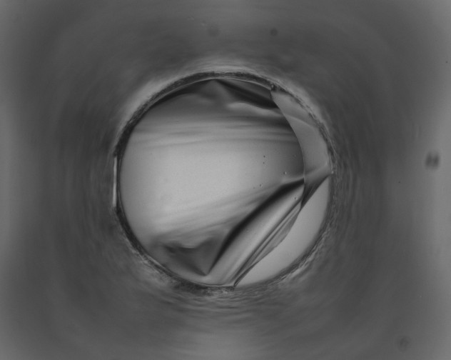 X0000092231175200710051213