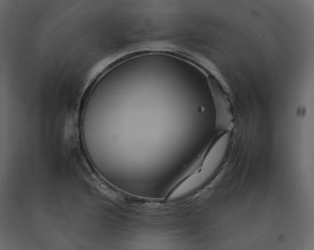 X0000092231176200710051213