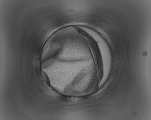 X0000092231177200710051213