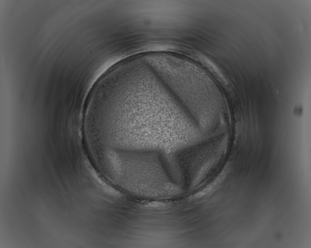 X0000092231178200710051213