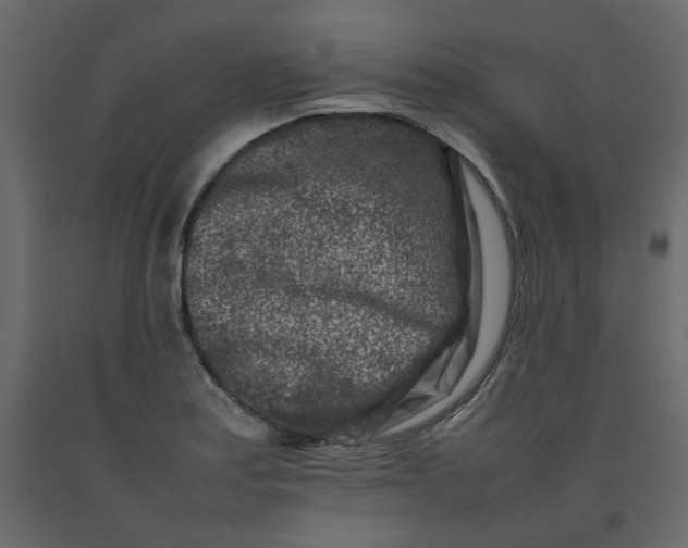 X0000092231179200710051213