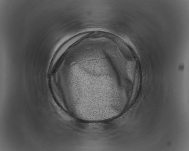 X0000092231181200710051213