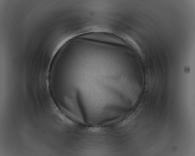 X0000092231182200710051213