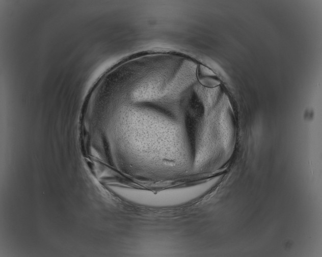 X0000092231183200710051213