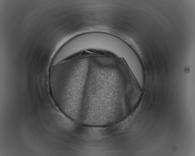 X0000092231184200710051213