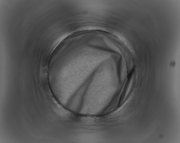 X0000092231185200710051213