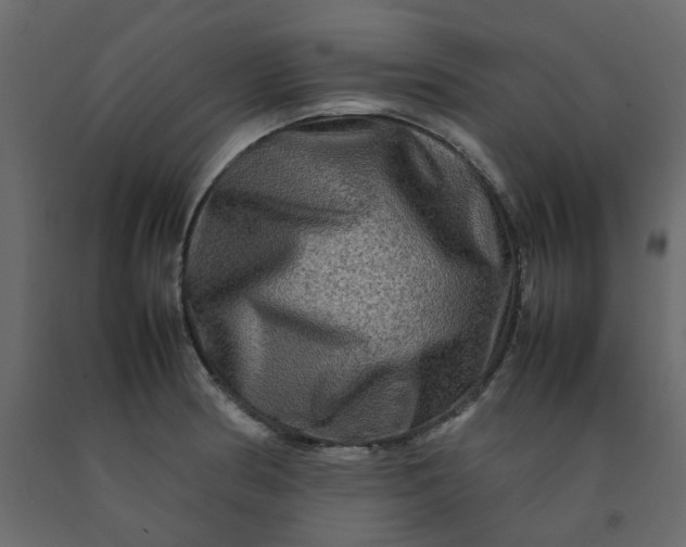 X0000092231186200710051213