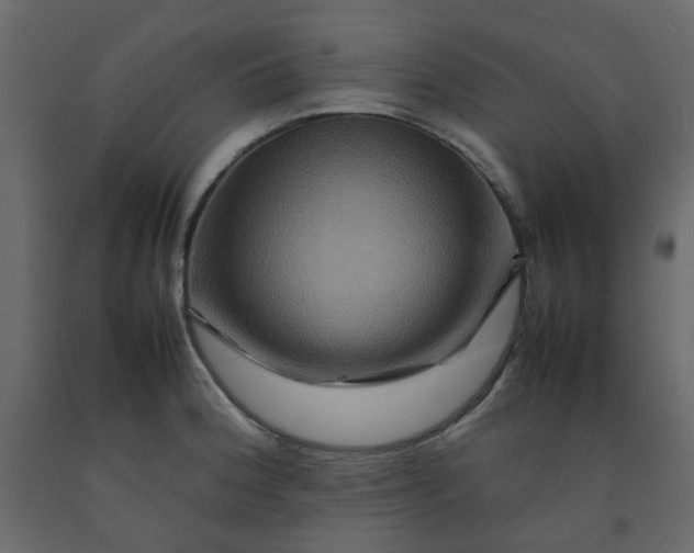 X0000092231188200710051213