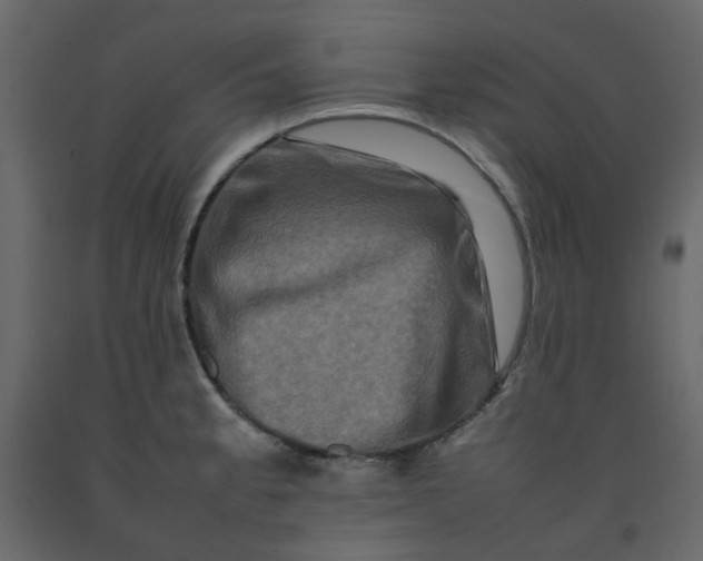 X0000092231189200710051213