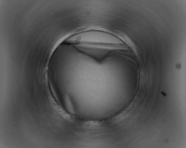 X0000092231190200710051213