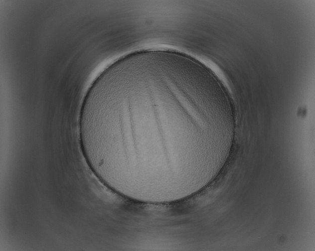 X0000092231191200710051213