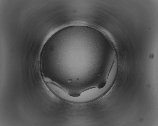 X0000092231192200710051213