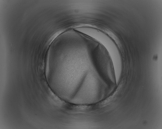 X0000092231193200710051213