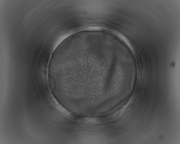 X0000092231194200710051213