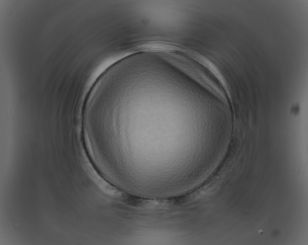 X0000092231195200710051213