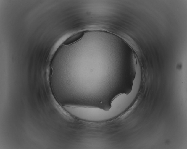 X0000092231196200710051213