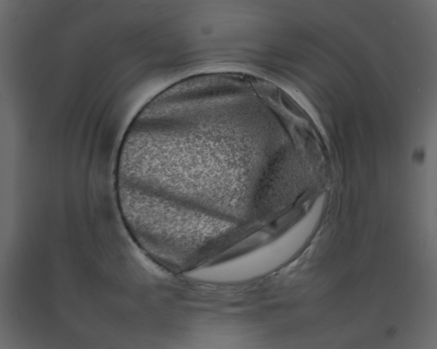 X0000092231197200710051213