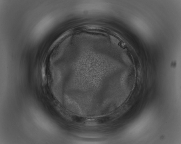 X0000092231198200710051213