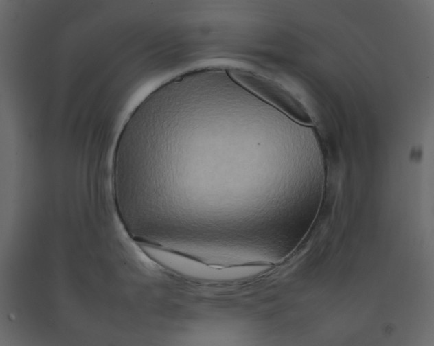 X0000092231199200710051213