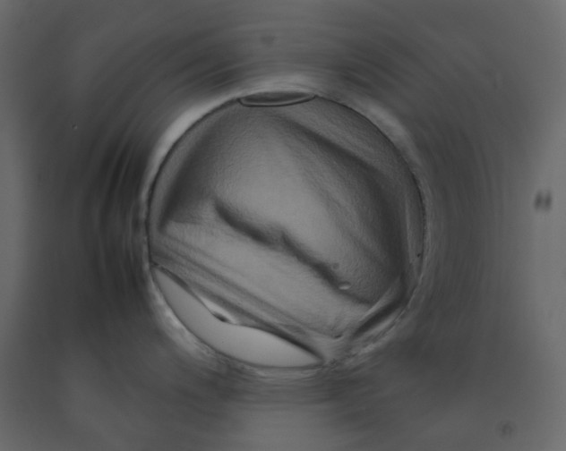 X0000092231200200710051213