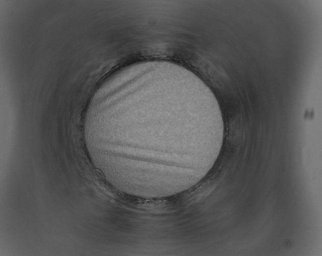 X0000092231201200710051212