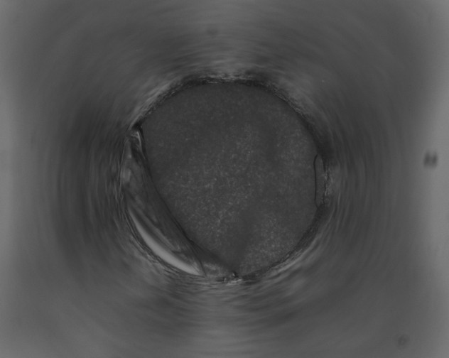 X0000092231202200710051212