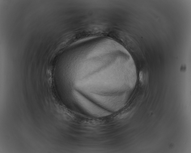 X0000092231203200710051212