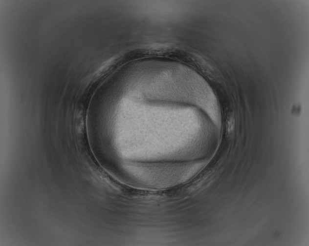 X0000092231204200710051212