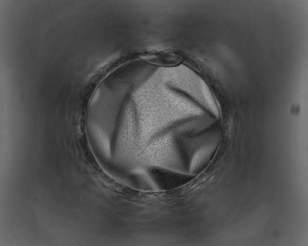 X0000092231205200710051212