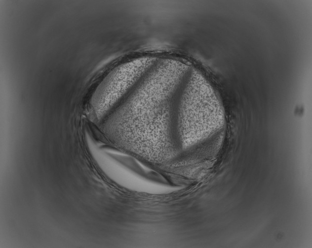 X0000092231206200710051212