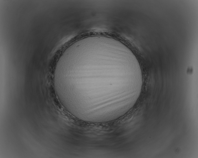 X0000092231207200710051212