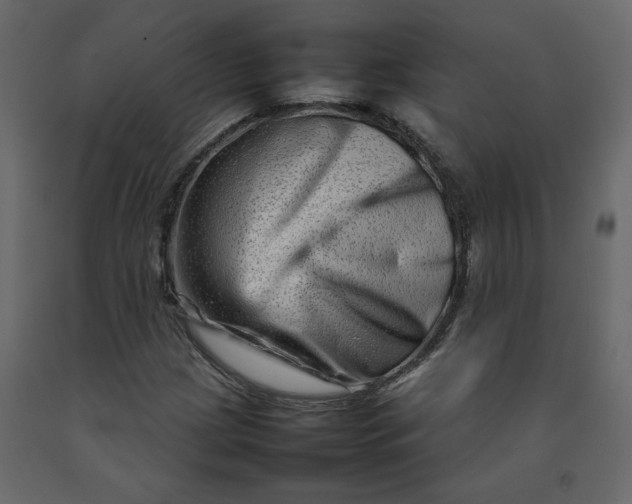 X0000092231209200710051212