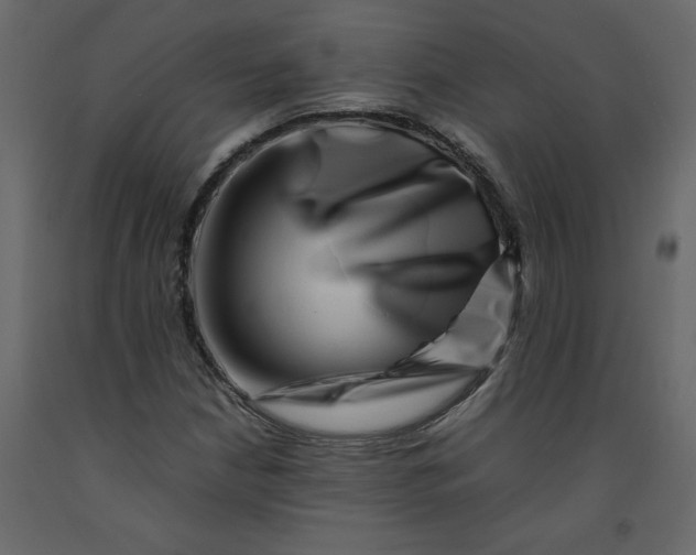 X0000092231210200710051212