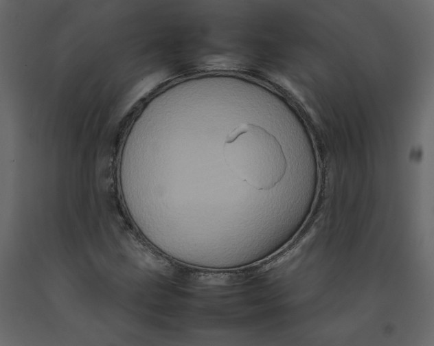 X0000092231211200710051212