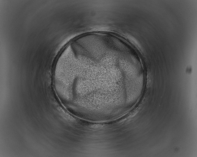 X0000092231212200710051212