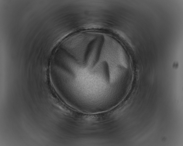 X0000092231217200710051212