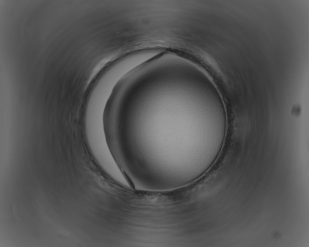 X0000092231218200710051212