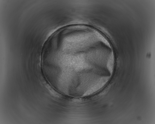 X0000092231220200710051212