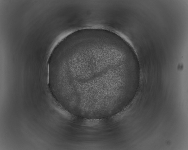 X0000092231223200710051212