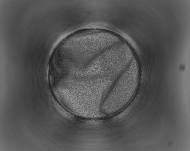 X0000092231224200710051212