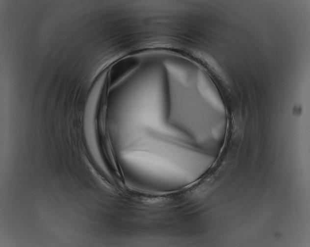 X0000092231225200710051212