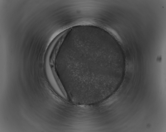 X0000092231226200710051212